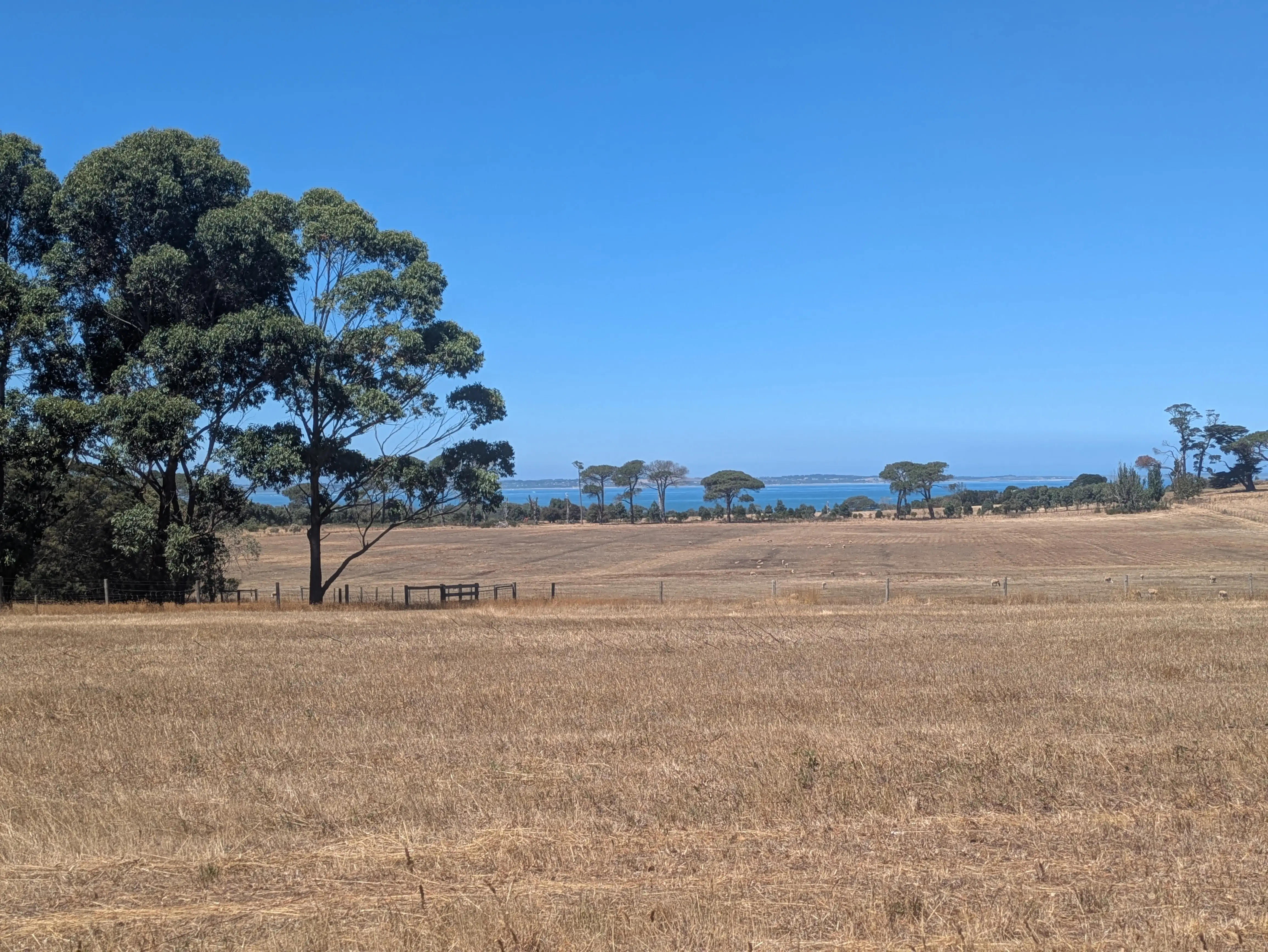 Mornington Peninsula By Public Transport
